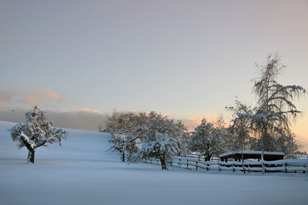 Winterwunderland