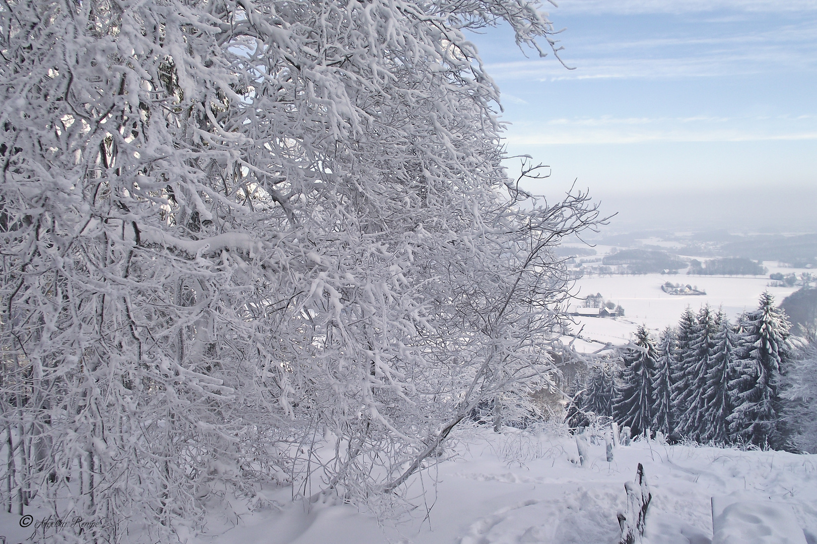 WinterWunderLand