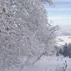 WinterWunderLand