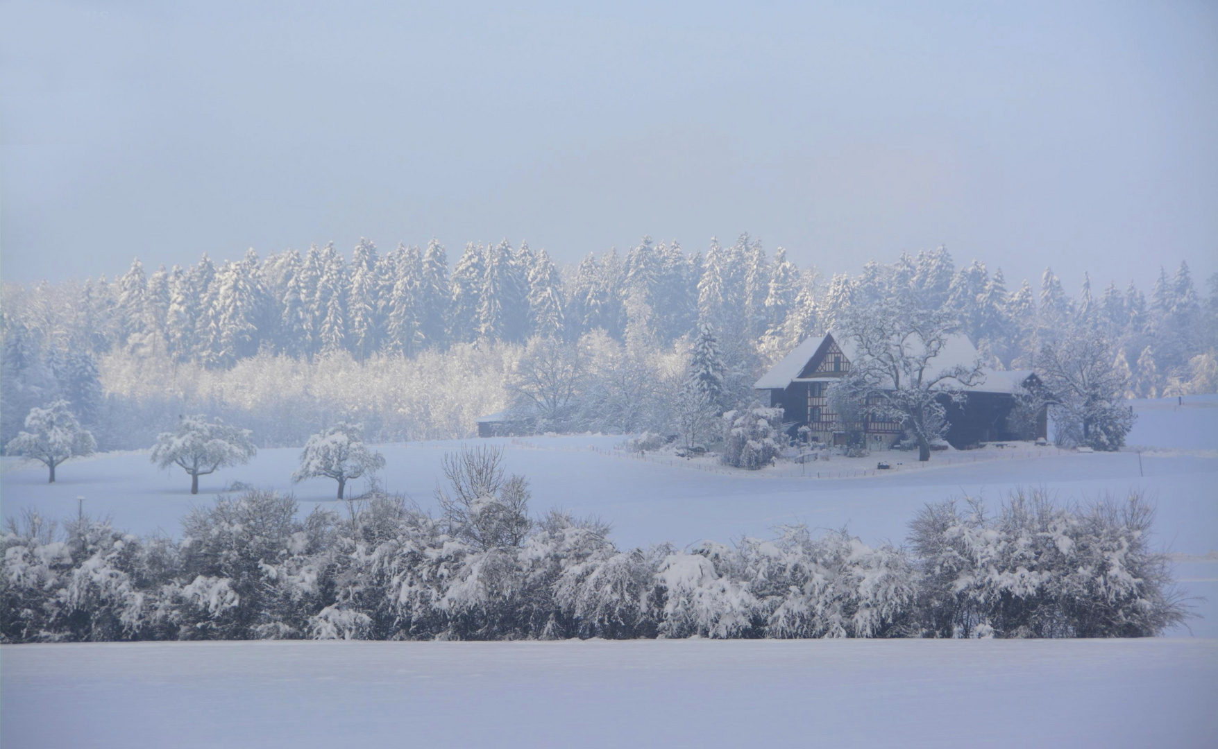 Winterwunderland