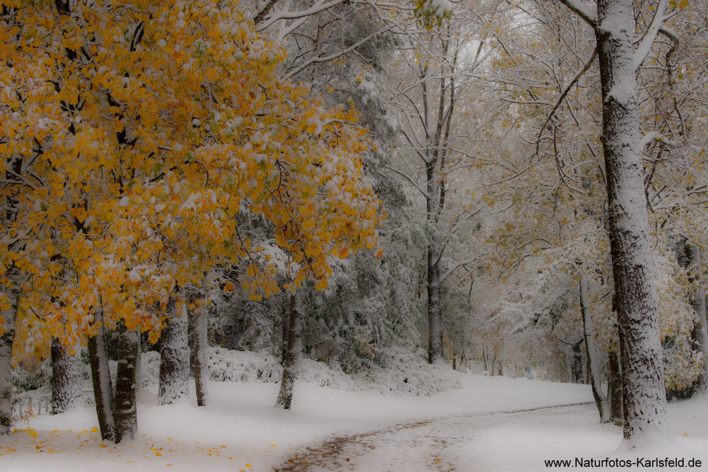 Winterwunderland ...