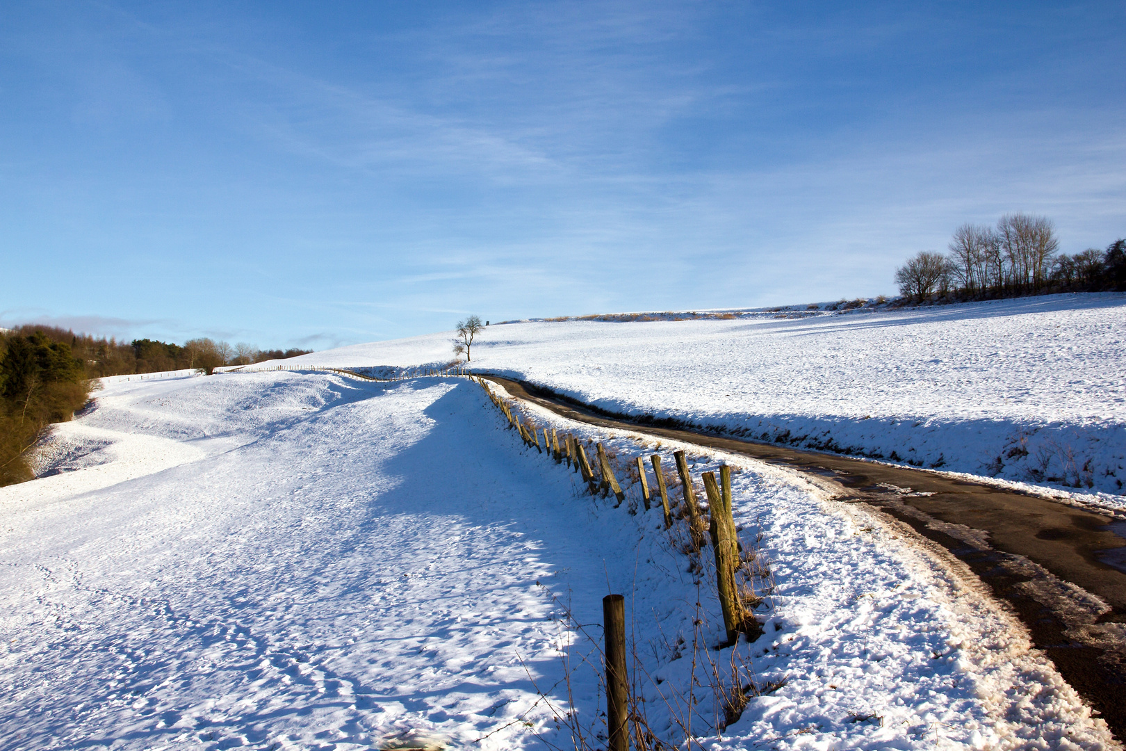 Winterwunderland - der Weg 