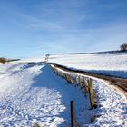 Winterwunderland - der Weg 