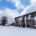 Winterwunderland - die Klosterruine