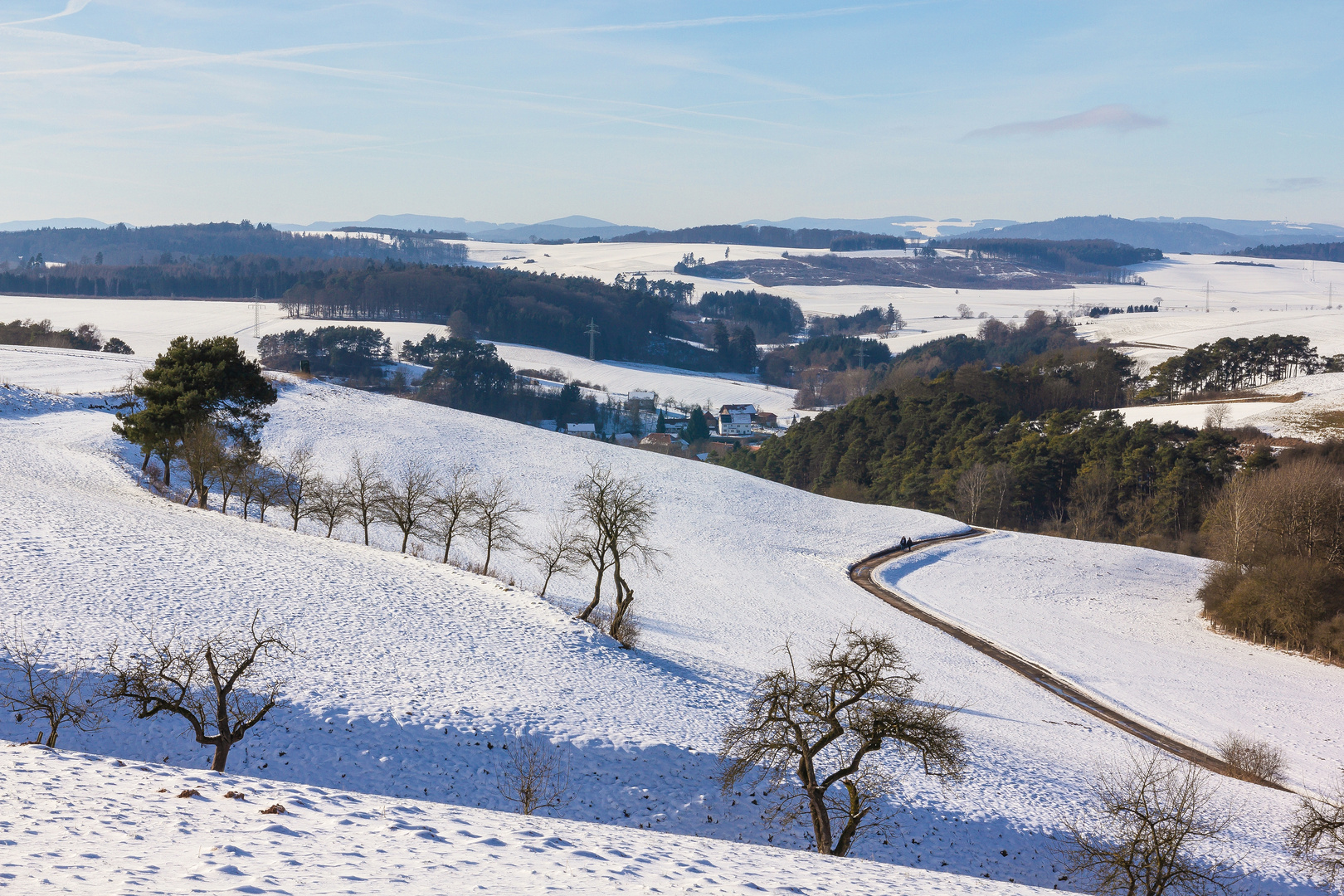 Winterwunderland - die Spaziergänger