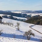 Winterwunderland - die Spaziergänger