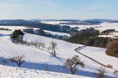 Winterwunderland - die Spaziergänger