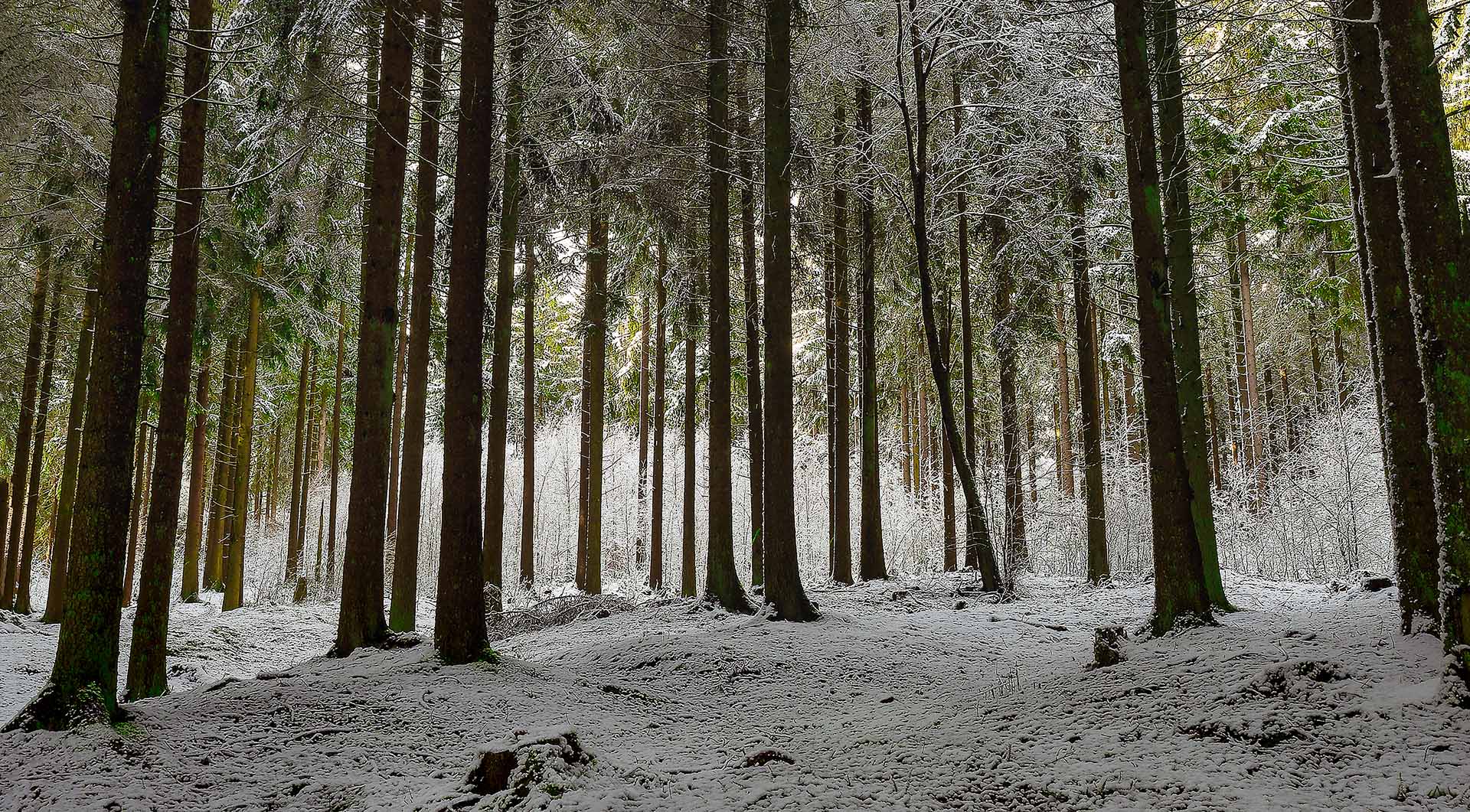 Winterwunderland Eifel.