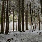 Winterwunderland Eifel.