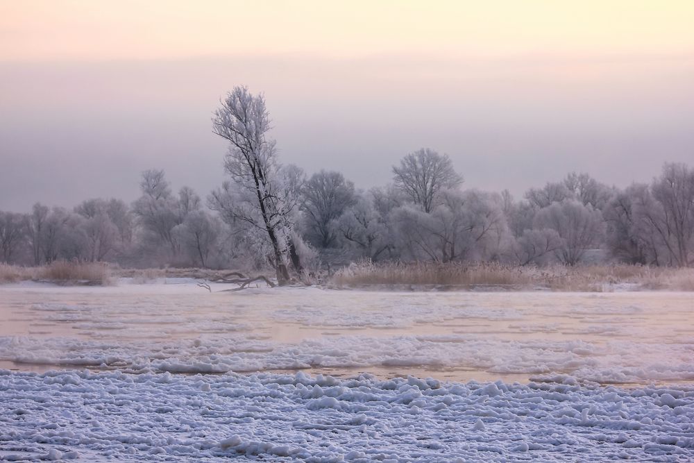 Winterwunderland - eisige Kälte