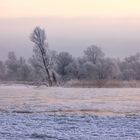 Winterwunderland - eisige Kälte