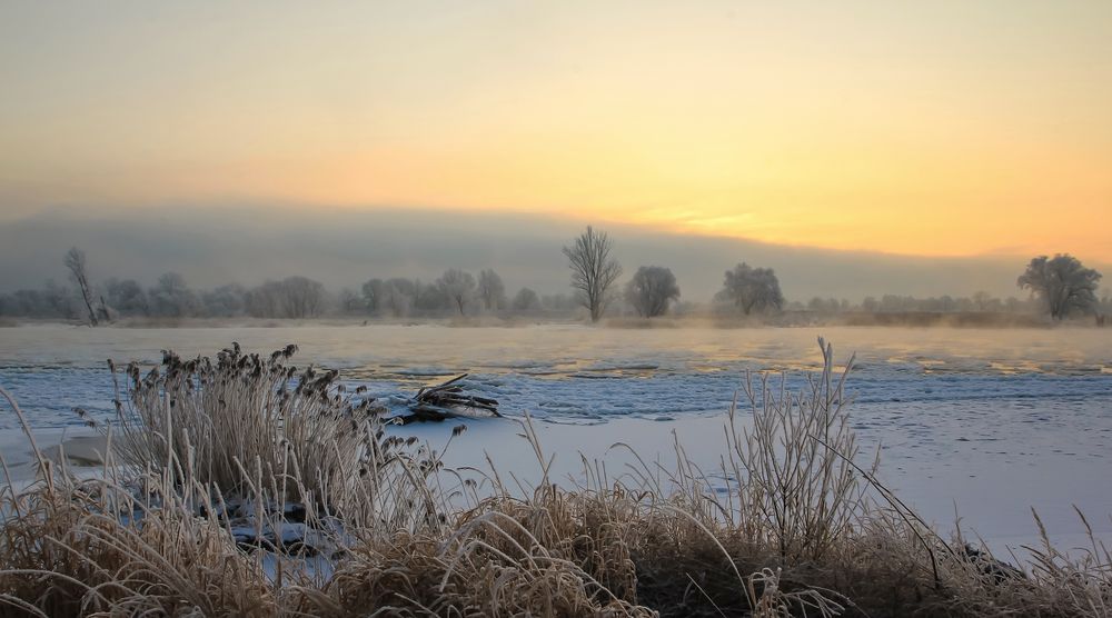 Winterwunderland - eisige Stille