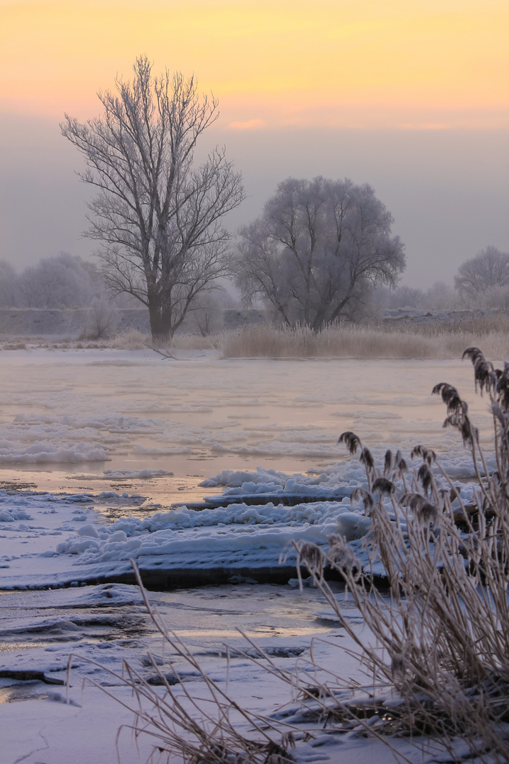 Winterwunderland - Eiskalt