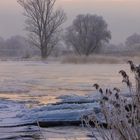 Winterwunderland - Eiskalt