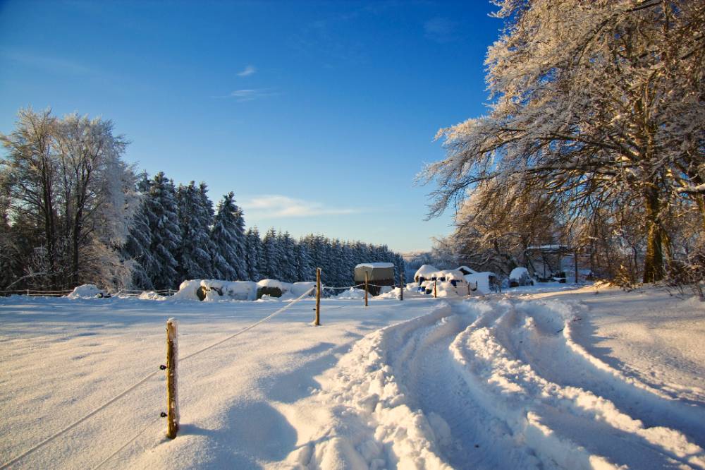 Winterwunderland