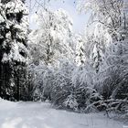 Winterwunderland