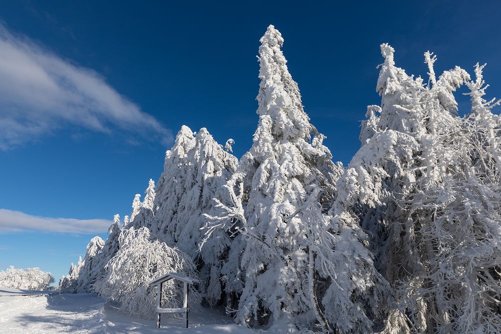 Winterwunderland