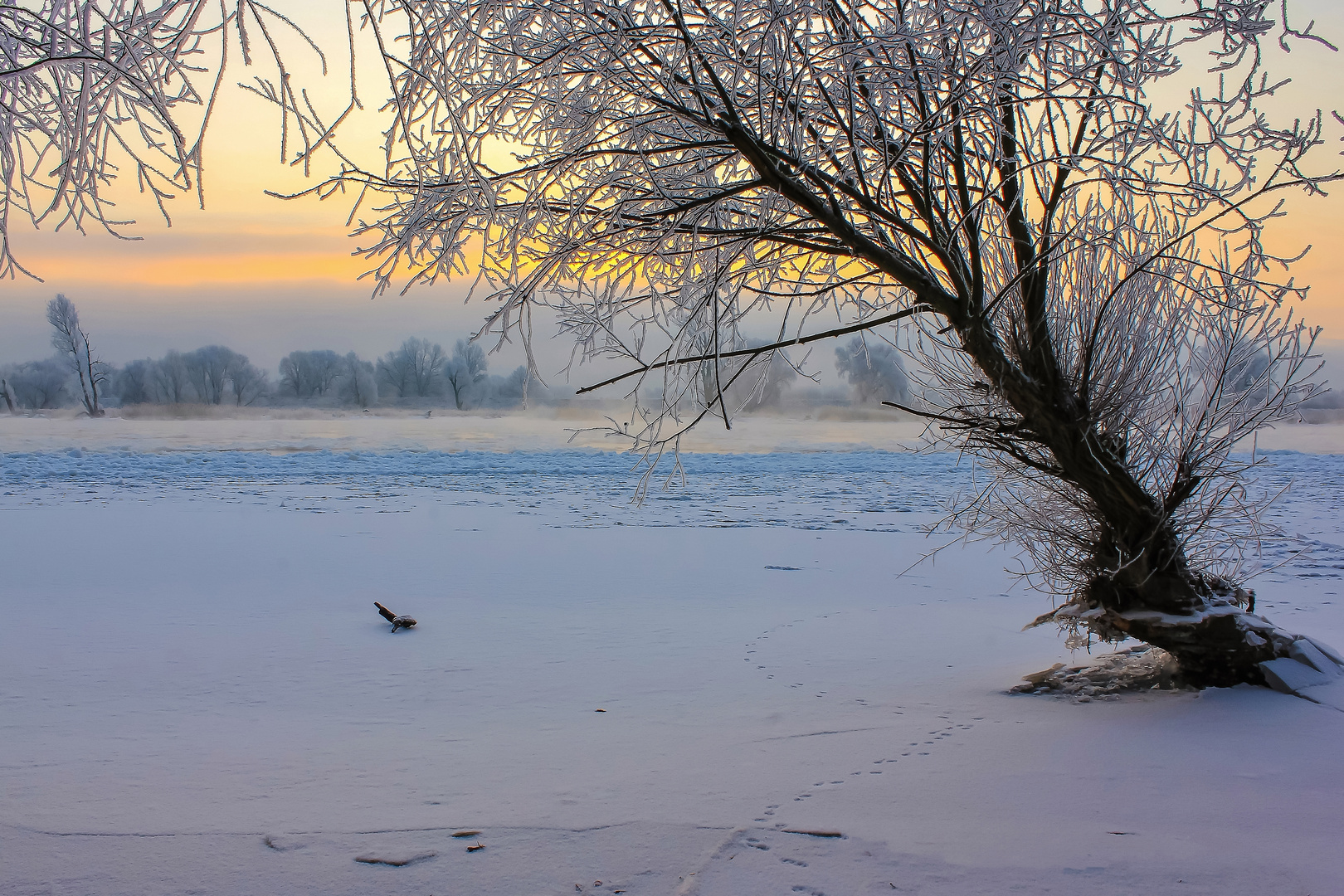 Winterwunderland - fast zugefroren