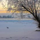 Winterwunderland - fast zugefroren