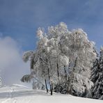 Winterwunderland .......