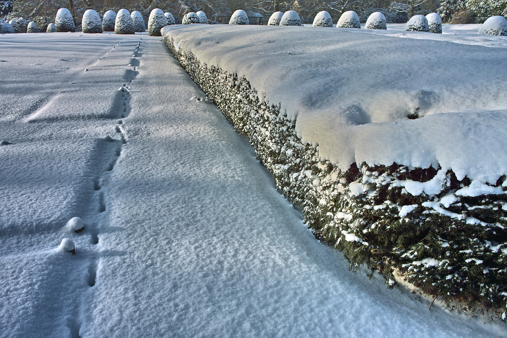 Winterwunderland Friedhof Ohlsdorf/Hamburg