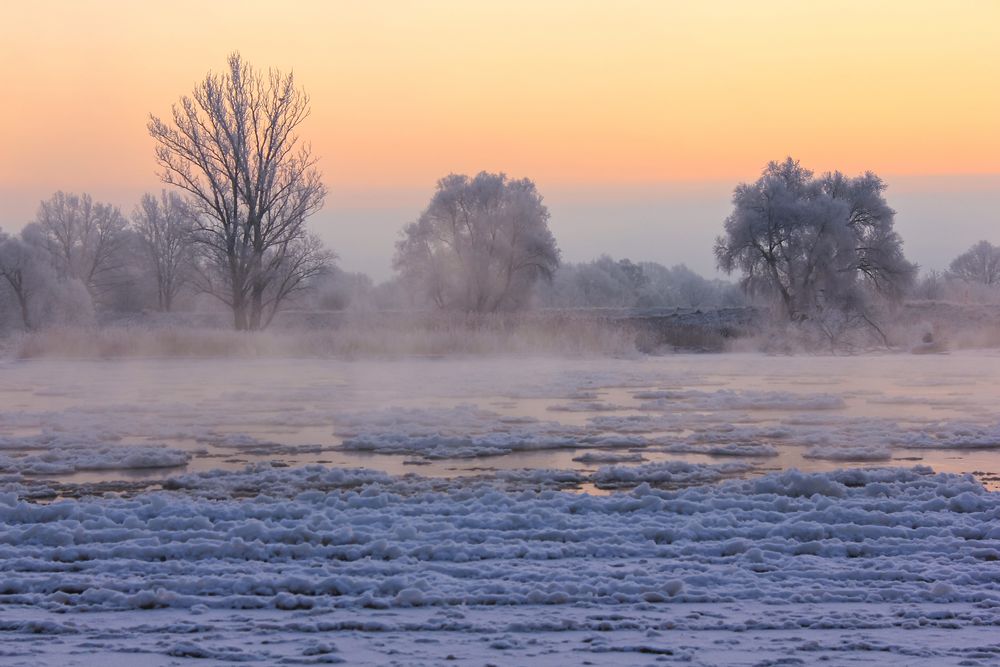 Winterwunderland - frostiges Morgenleuchten