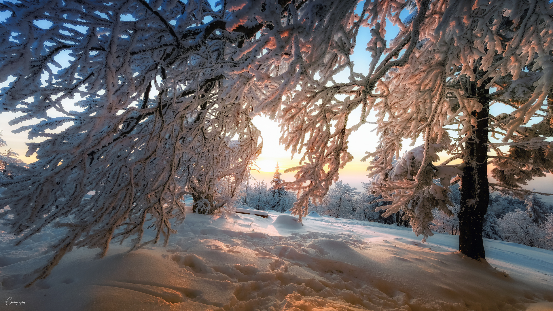 Winterwunderland Hochblauen