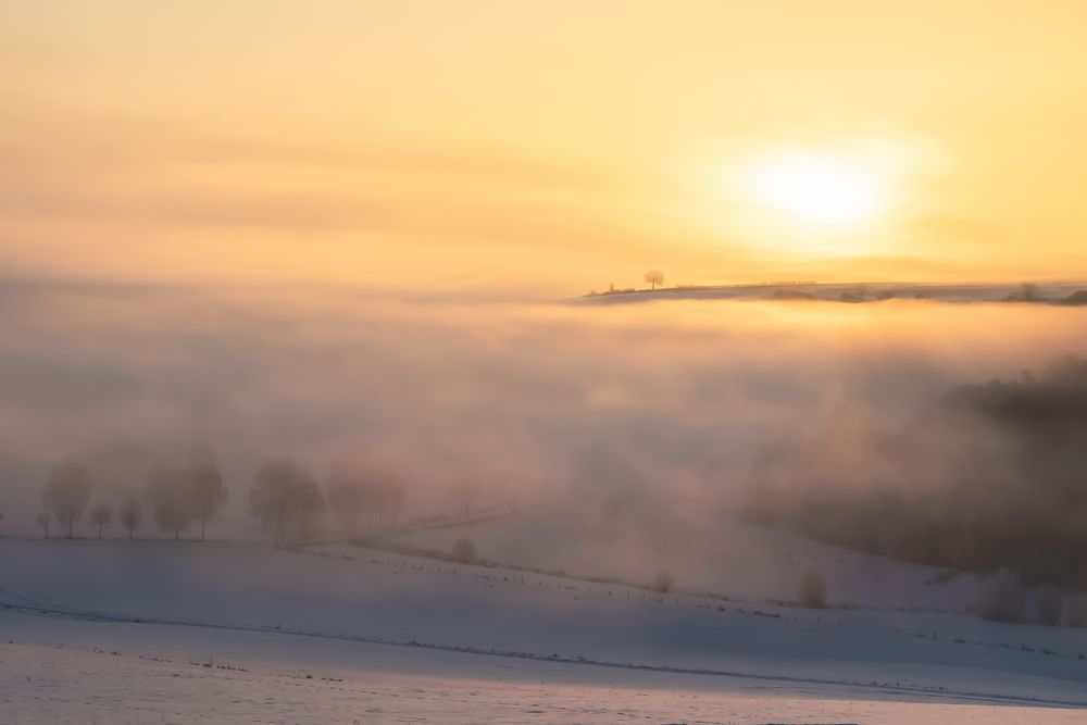 Winterwunderland - Hoffnungsschimmer