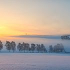 Winterwunderland - hoffnungsvoller Morgen