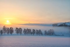 Winterwunderland - hoffnungsvoller Morgen