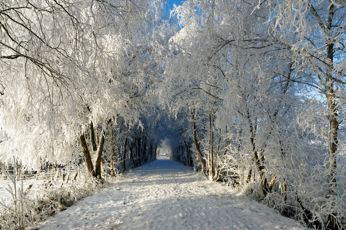 Winterwunderland II