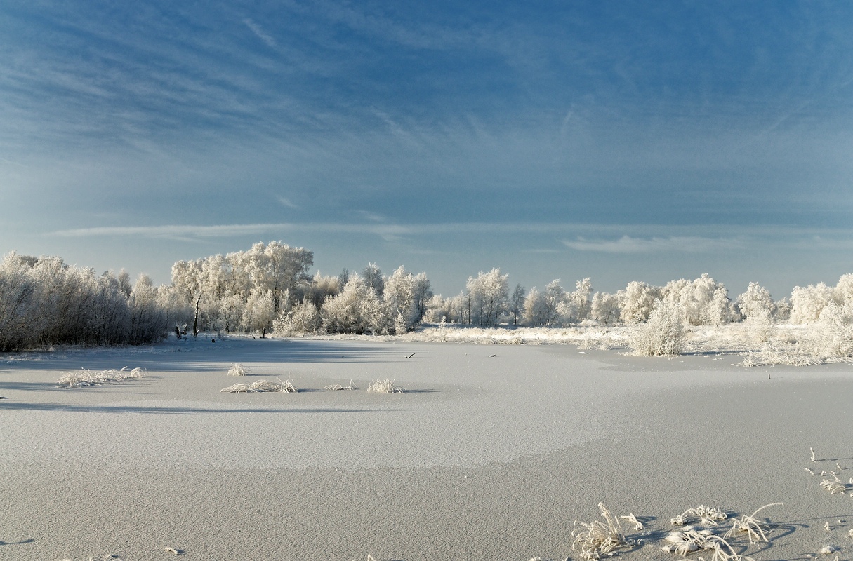 Winterwunderland III