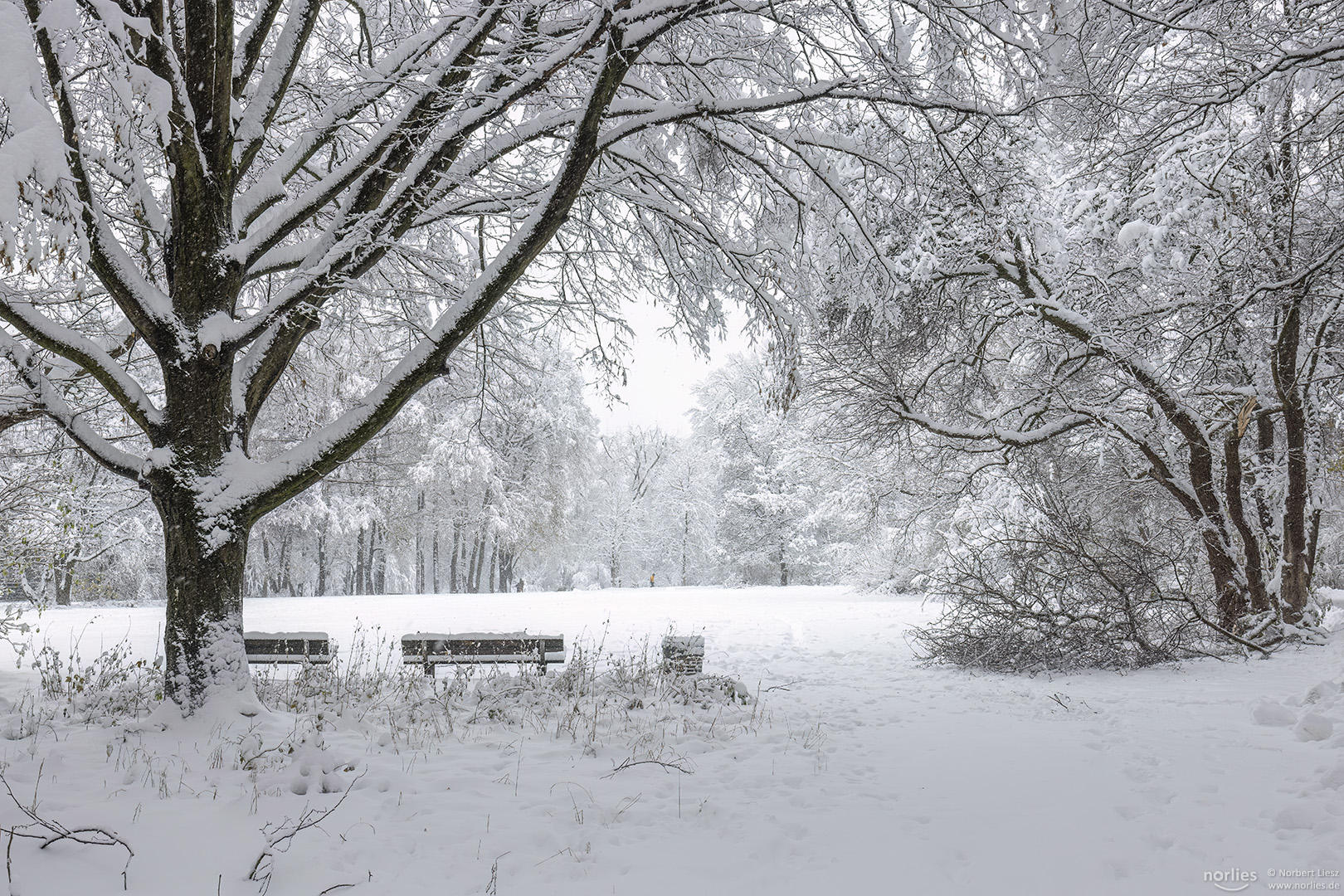 Winterwunderland im Park