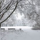 Winterwunderland im Park