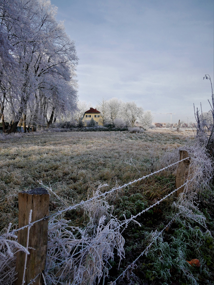 Winterwunderland in Münster - Haus Dieck kurz vor Weihnachten 2021