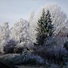 Winterwunderland in Münster - Raureif im Dezember 2021