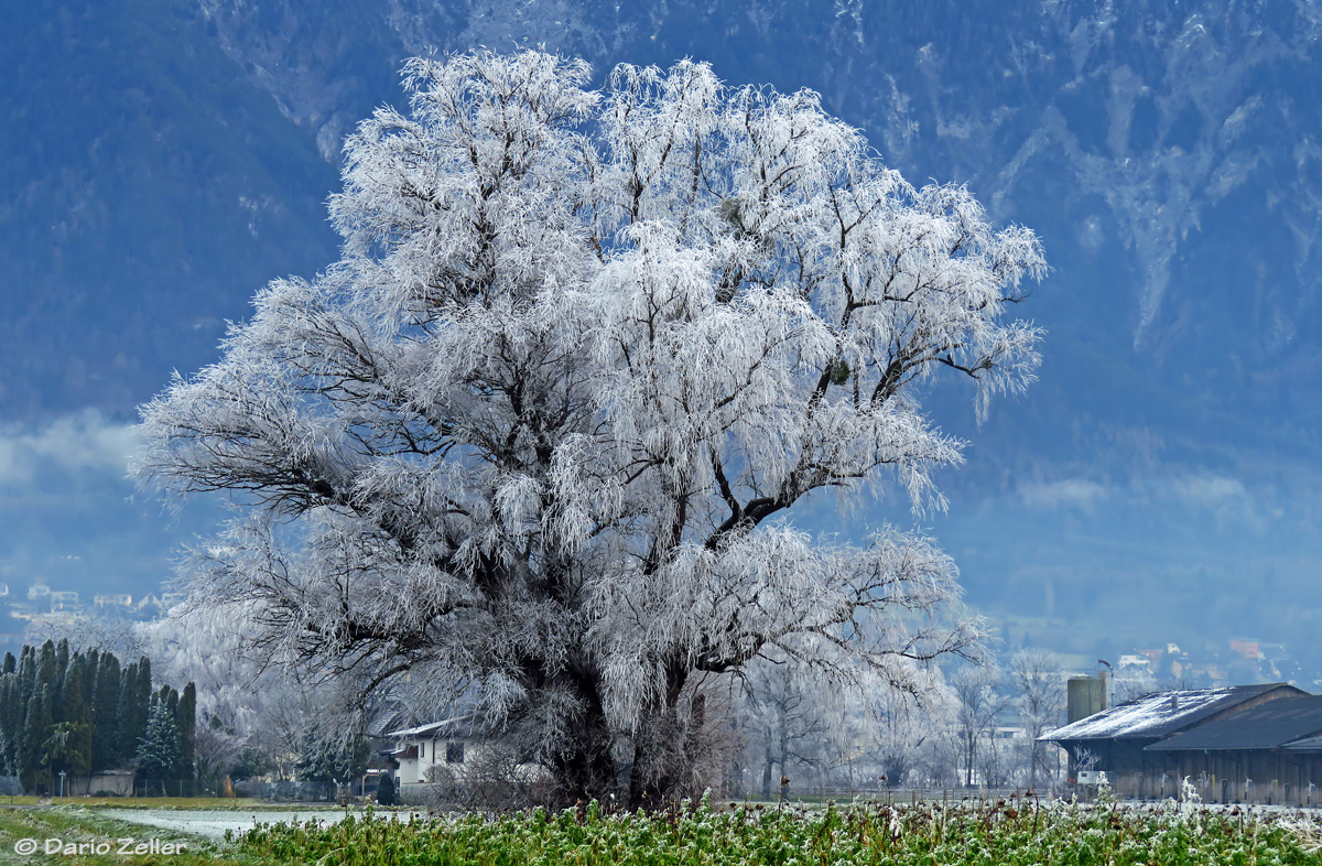 Winterwunderland in Schaan bei -4 Grad