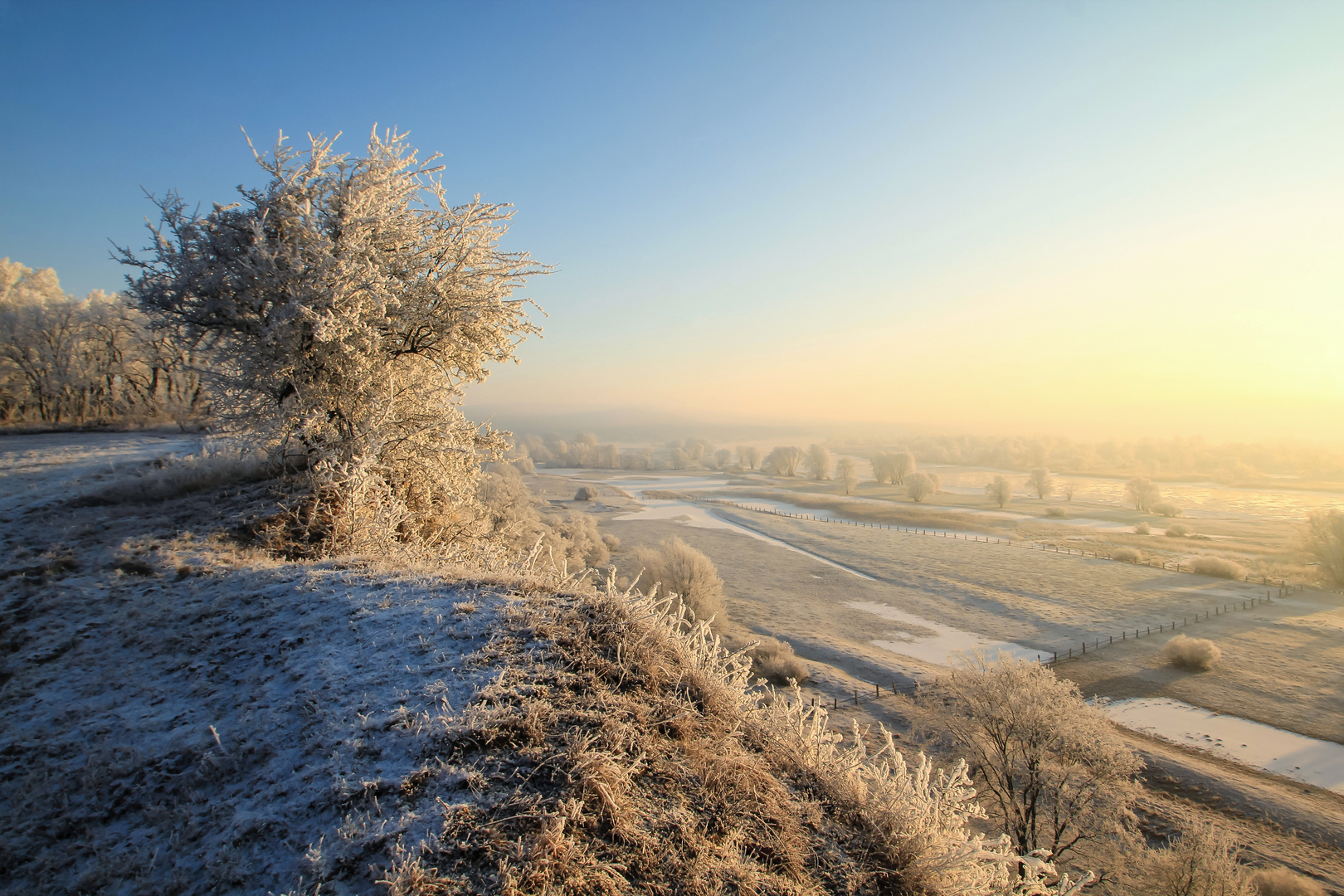 Winterwunderland - kalte Aussicht