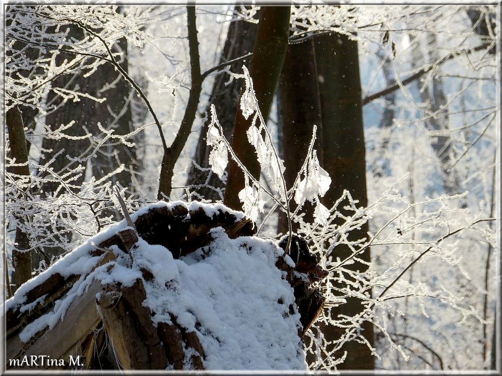 Winterwunderland  (mit Gedicht)