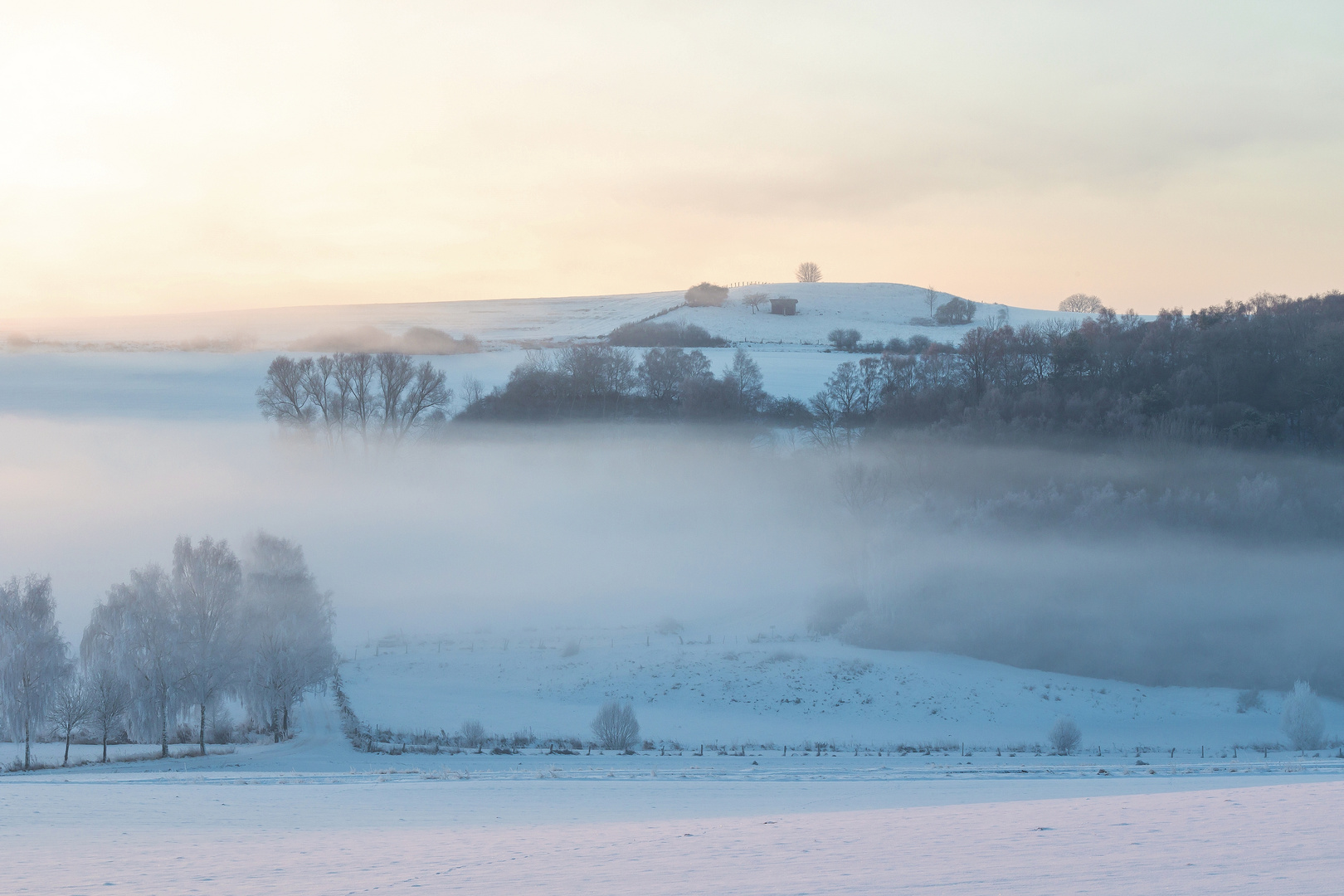 Winterwunderland - Morgen im Nebelland