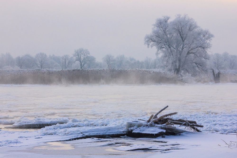 Winterwunderland - Morgenfrost