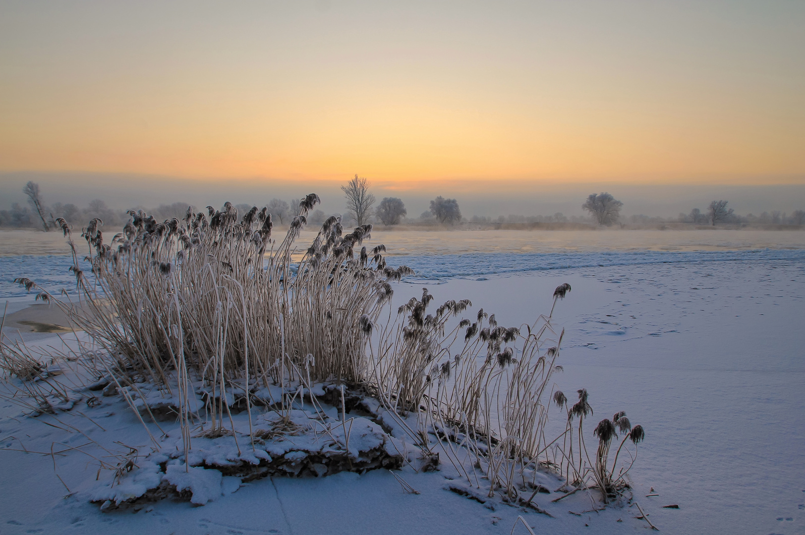 Winterwunderland - Morgenhauch