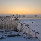 Winterwunderland - Morgenhauch