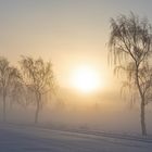 Winterwunderland - Morgensonne und die Stille im Nebel