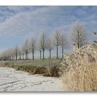 "Winterwunderland NRW"