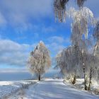 Winterwunderland Oberlausitz