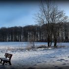 Winterwunderland-Panorama
