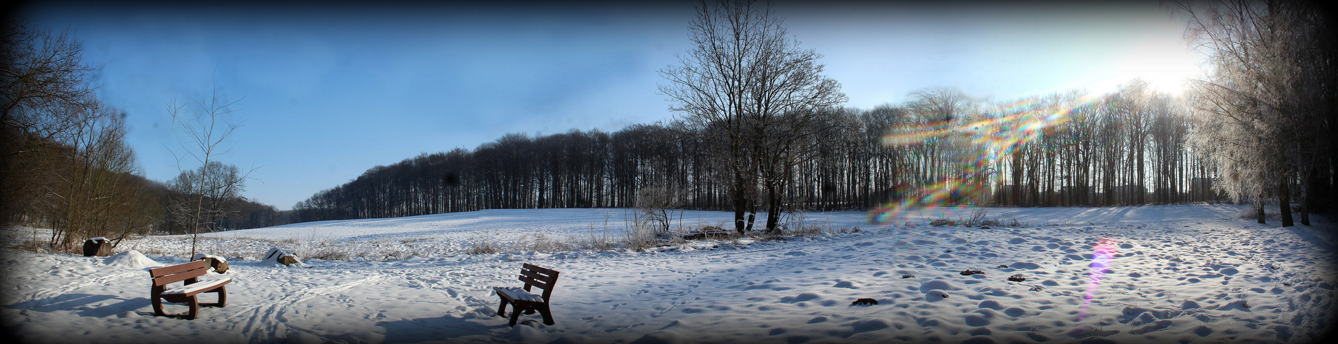 Winterwunderland-Panorama