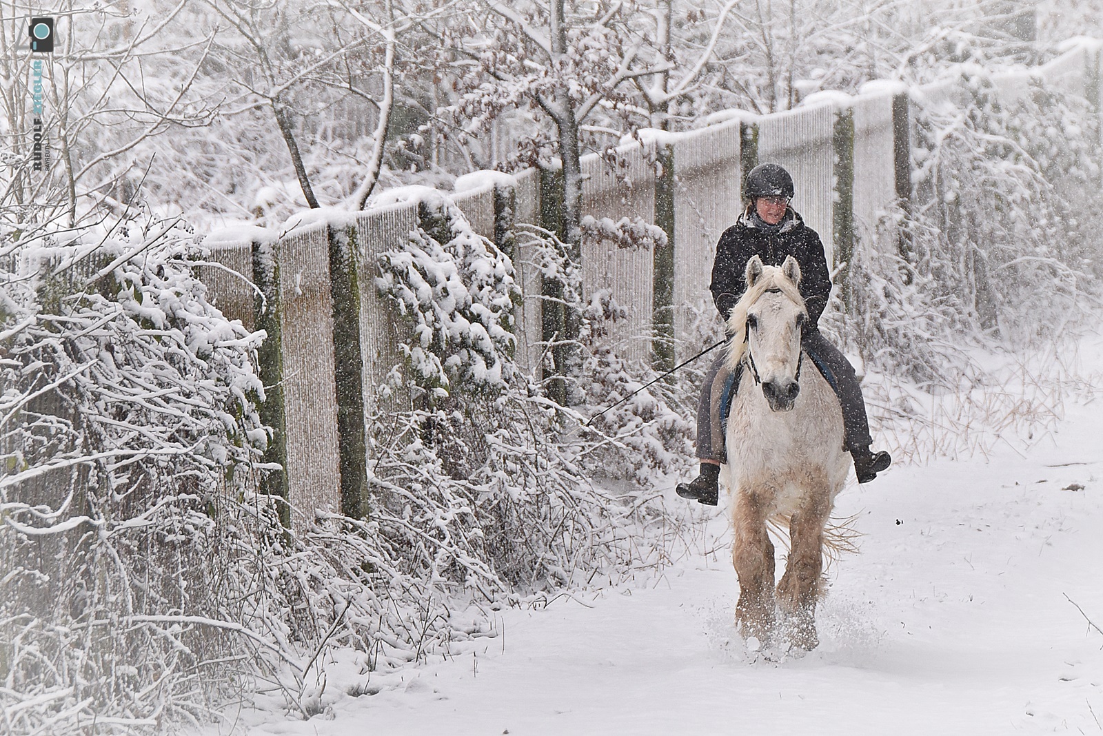 Winterwunderland! - #rauskopfaus