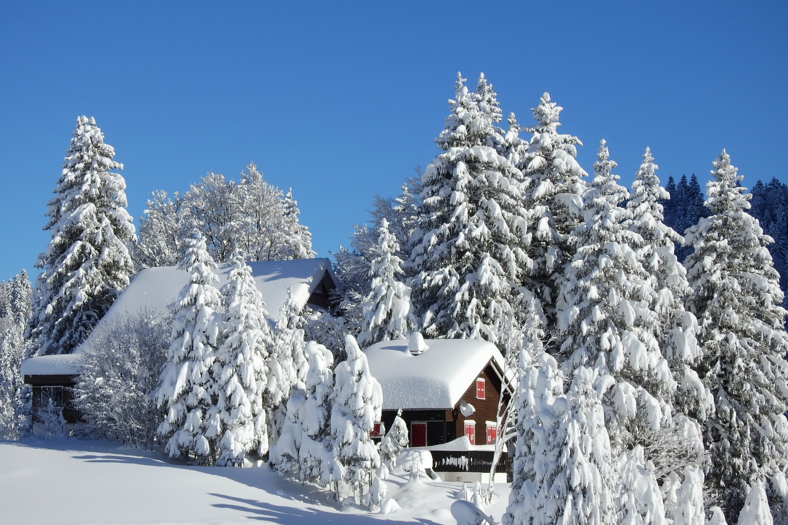 Winterwunderland Schwägalp/Säntis